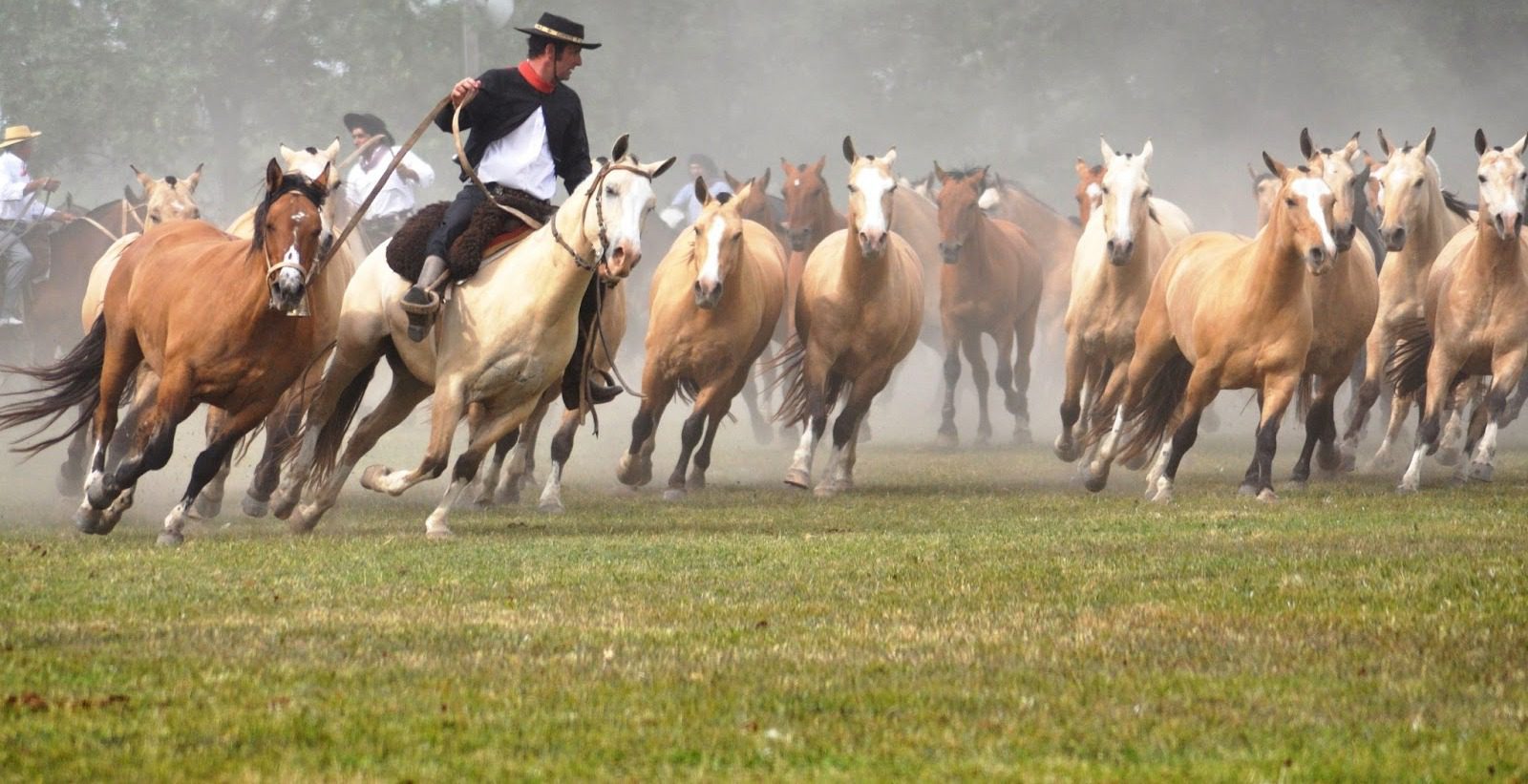 Argentina con Postcardtravel
