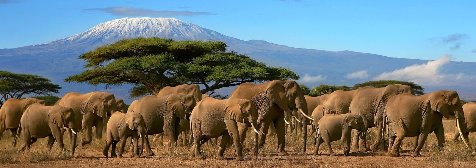 Tanzania con Postcardtravel
