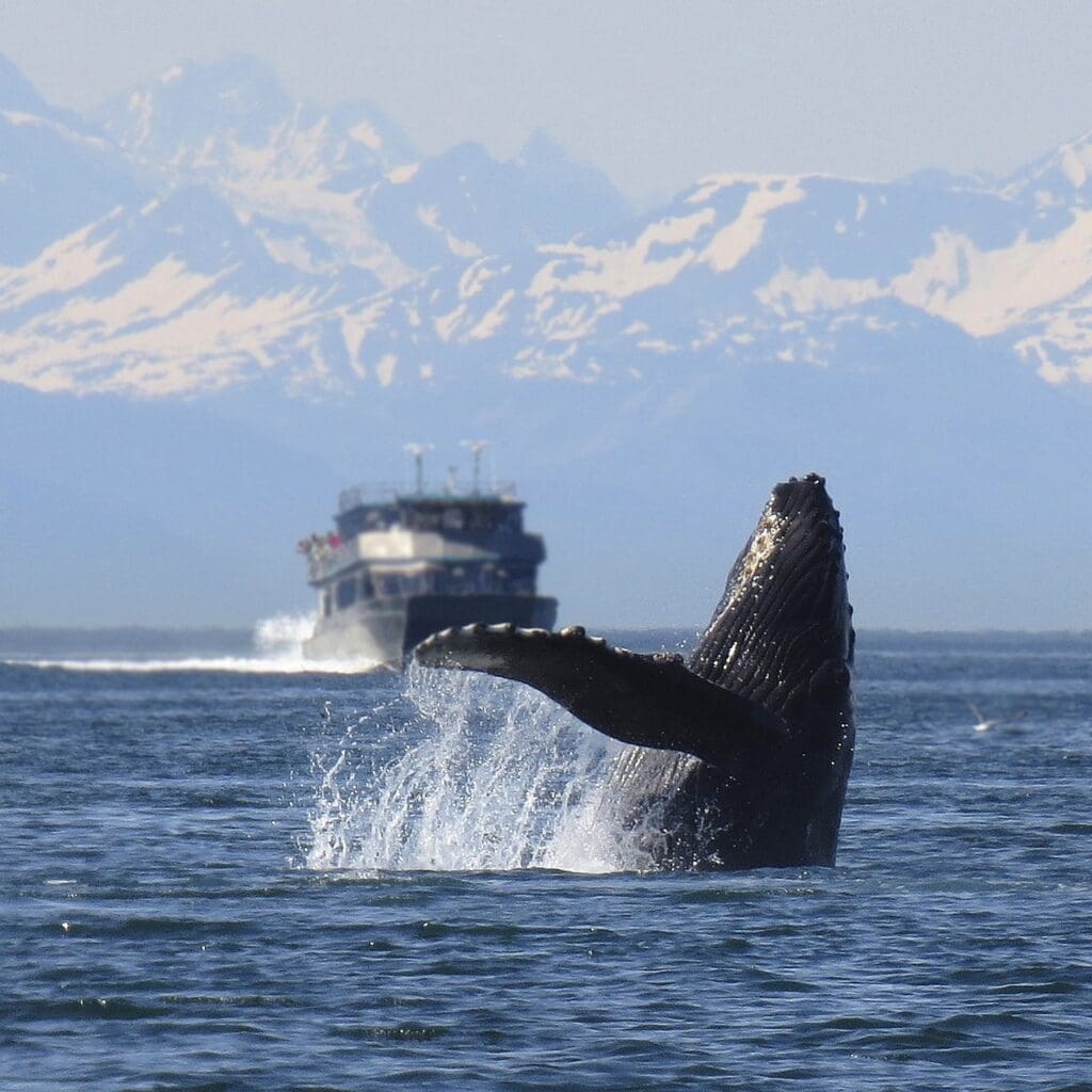 Rocosas, Vancouver y Crucero por Alaska