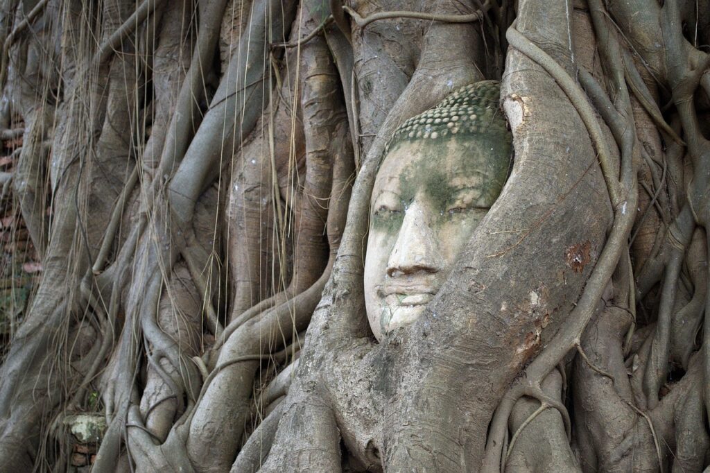 Combi Vietnam y Tailandia
