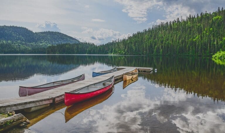 Una inmersión en el Canadá de los bosques, lagos y animales.