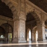 India drávida en invierno