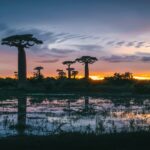 Baobabs y Tsingy del Norte