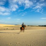 Fortaleza y la Ruta de las Emociones