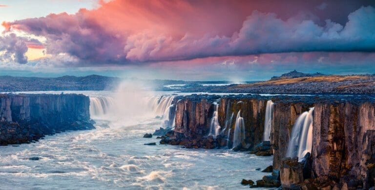 Naturaleza en estado puro