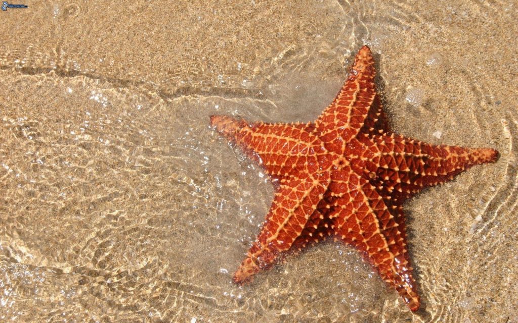 
Cultura y playa en Panamá
