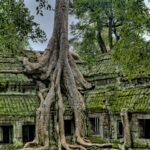 Colores de Camboya