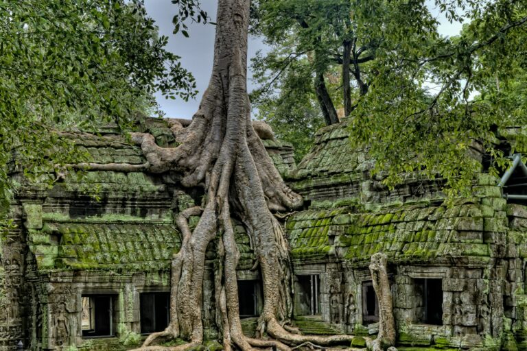 
Camboya
