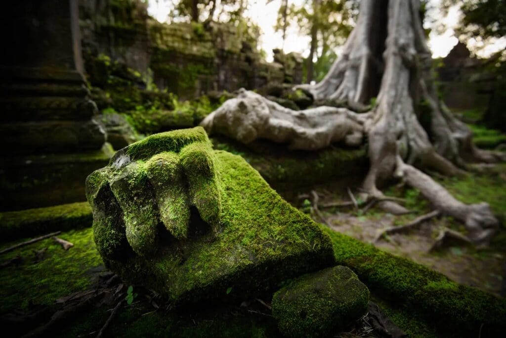 
La esencia de Camboya 2027

