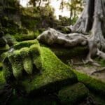 La esencia de Camboya 2027