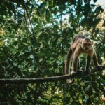 Colombia, naturaleza y aventura