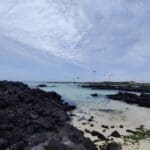 Tradición y Naturaleza 2026