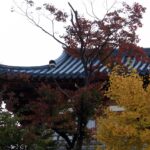 El arte de vivir coreano 2026