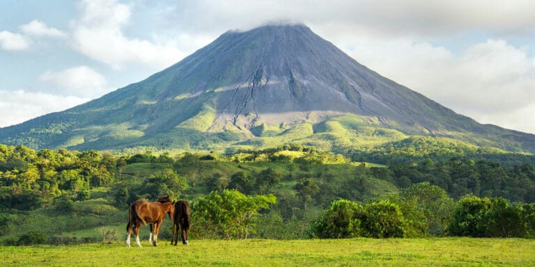 Entre el fuego del volcán y el susurro del bosque nuboso