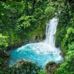 Pura Naturaleza, Pura Vida