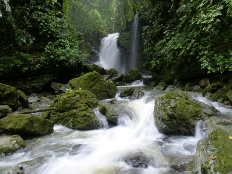 Naturaleza en estado puro