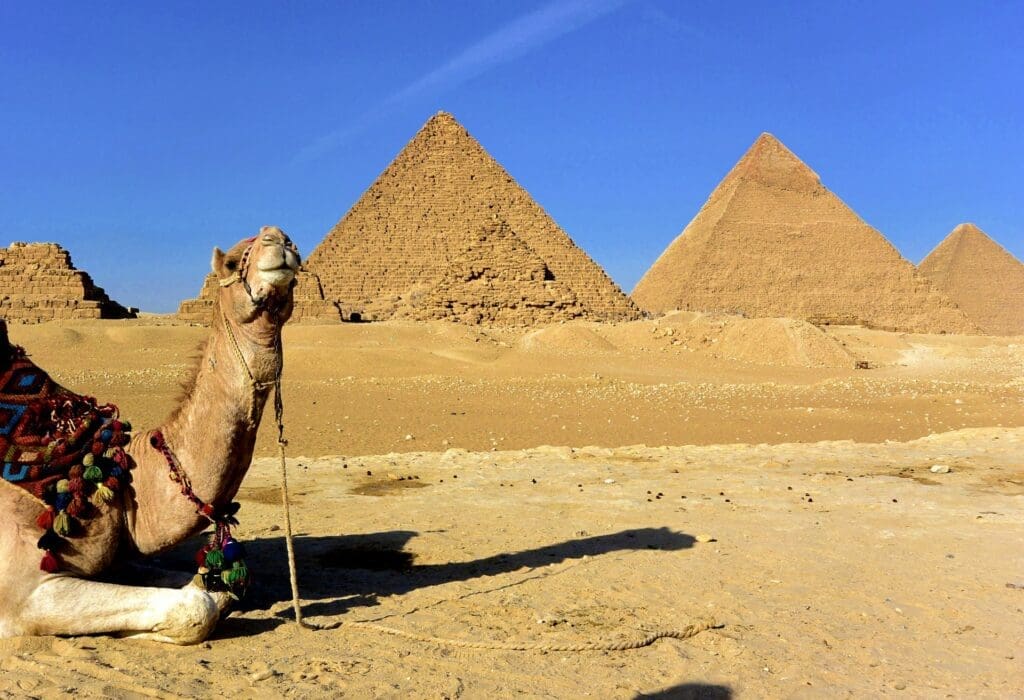 
Egipto con Abu Simbel invierno
