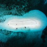 Explorando Visayas & Siargao
