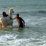 Caleidoscopio de etnias