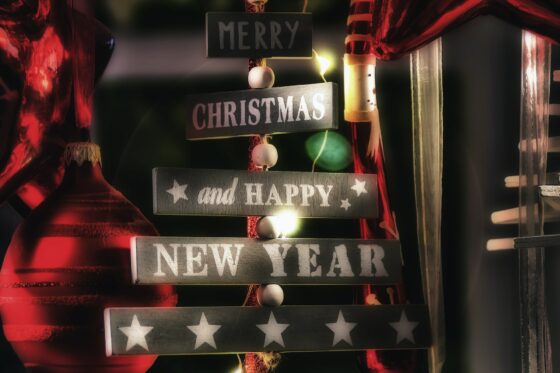 Año Nuevo en Georgia,salida 29 Diciembre