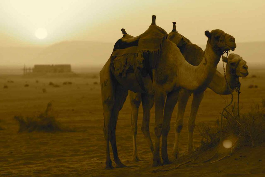 
Desierto de Wadi Rum
