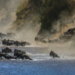 Esencias de Kenia 2026