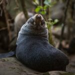 New Zealand al completo, Fly & Drive