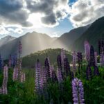 Explorando New Zealand, Fly & Drive