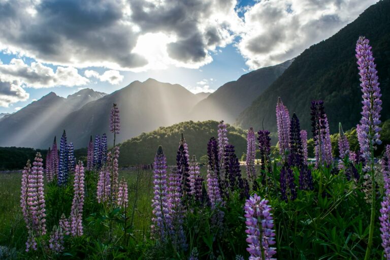 Dale una vuelta aun país de naturaleza impresionante