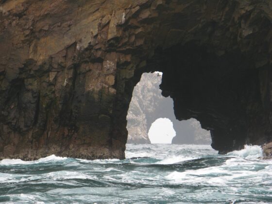 Mundo Andino y Paracas