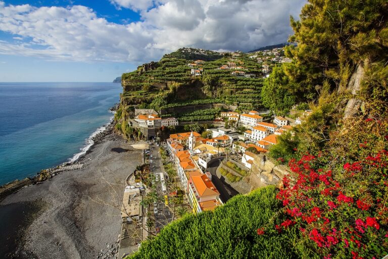 
Magic Madeira
