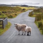 Paisajes de Escocia e Irlanda