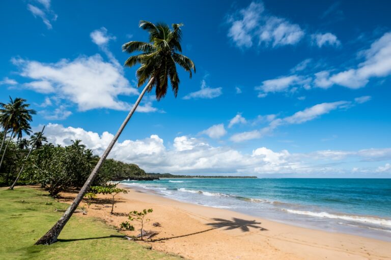 
República Dominicana
