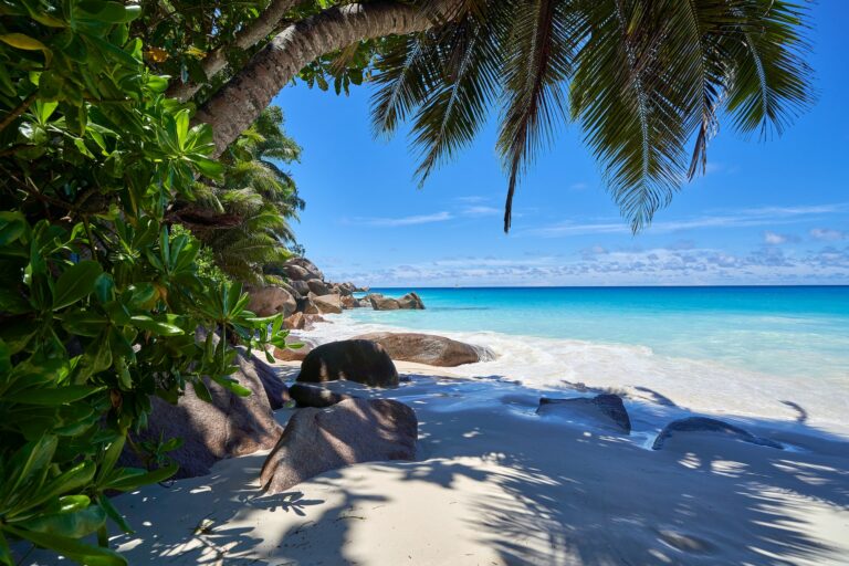 
Seychelles
