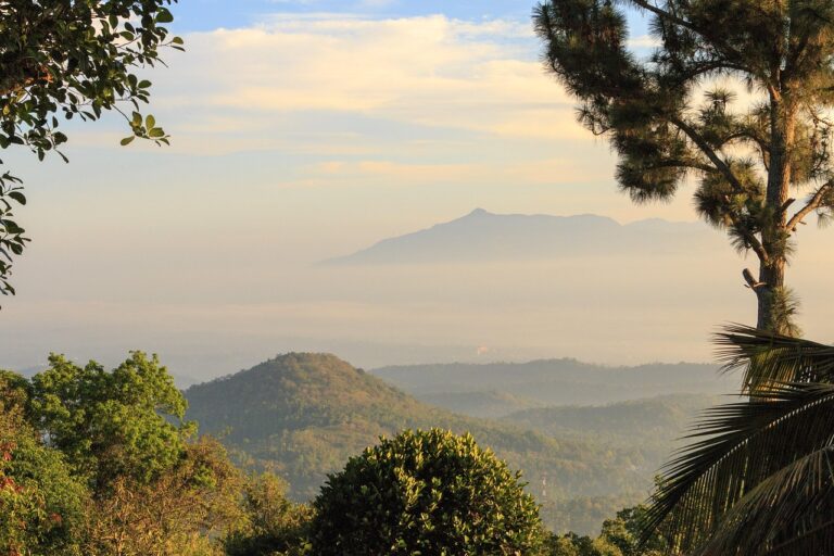 Explora el interior y el sur de Sri Lanka
