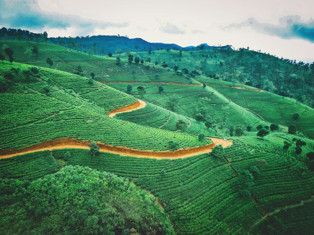 
Sri Lanka Esencial
