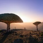 Paisajes de Sudáfrica, Ruta jardín 2025-26