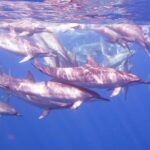 Aventura por el sur y playas de Tailandia