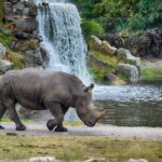 Tierras de Tanzania 2026