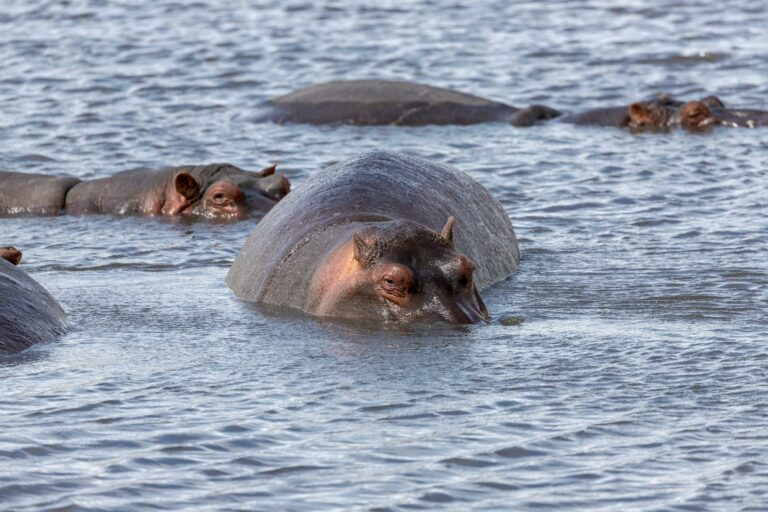 A la búsqueda de los impresionantes paisajes africanos
