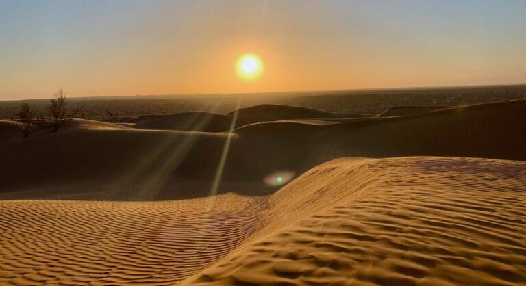 
Gran Ruta Por El Desierto 4x4
